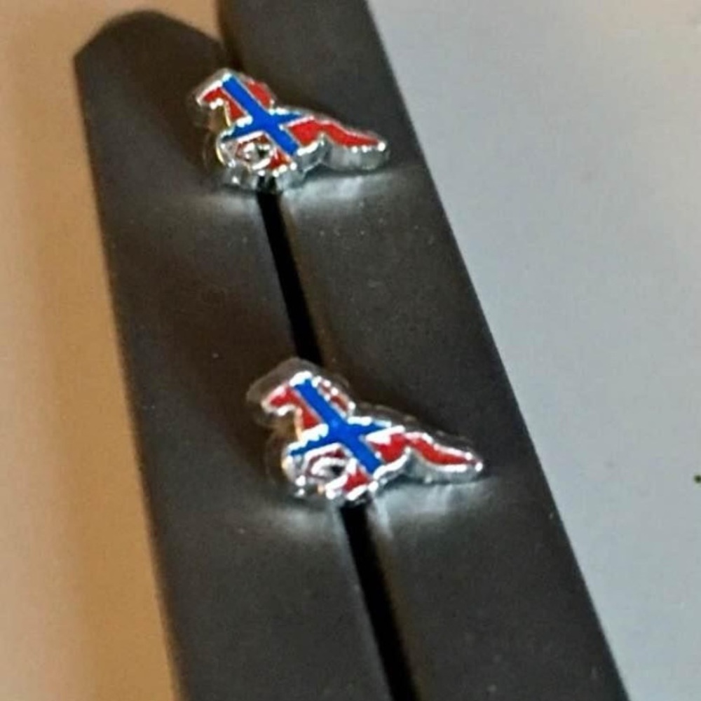 Running Rebel Horse Stud Earrings